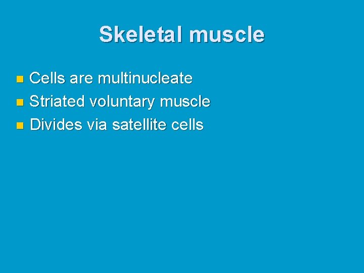 Skeletal muscle Cells are multinucleate n Striated voluntary muscle n Divides via satellite cells Skeletal muscle Cells are multinucleate n Striated voluntary muscle n Divides via satellite cells