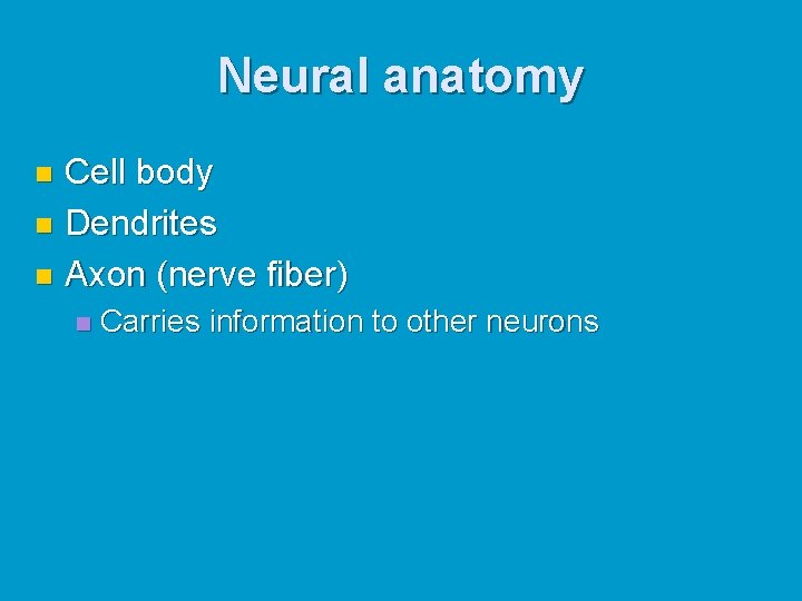 Neural anatomy Cell body n Dendrites n Axon (nerve fiber) n n Carries information