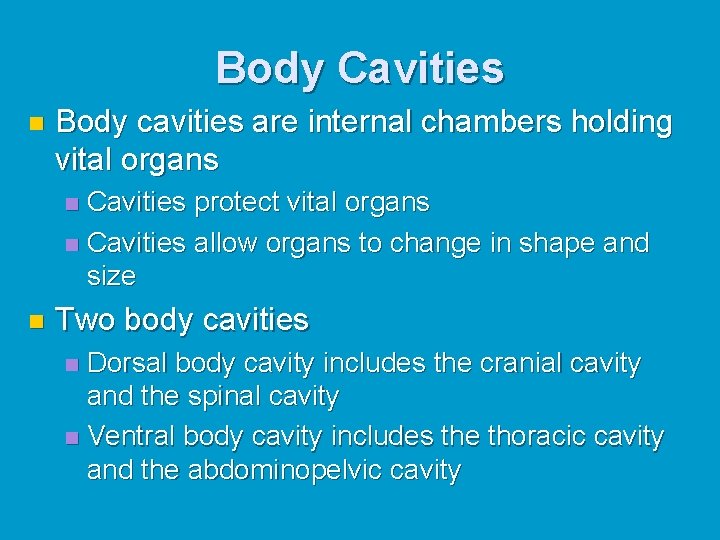 Body Cavities n Body cavities are internal chambers holding vital organs Cavities protect vital Body Cavities n Body cavities are internal chambers holding vital organs Cavities protect vital