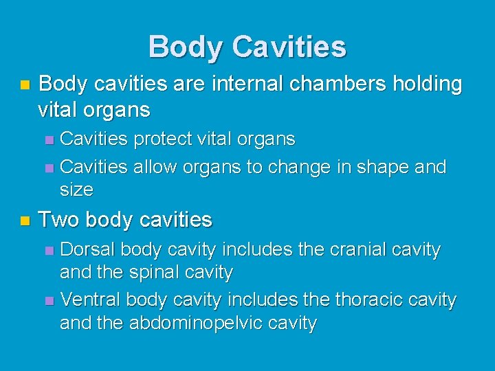 Body Cavities n Body cavities are internal chambers holding vital organs Cavities protect vital