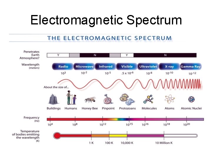 Electromagnetic Spectrum 