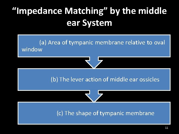 “Impedance Matching” by the middle ear System (a) Area of tympanic membrane relative to