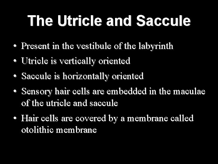 The Utricle and Saccule • Present in the vestibule of the labyrinth • Utricle