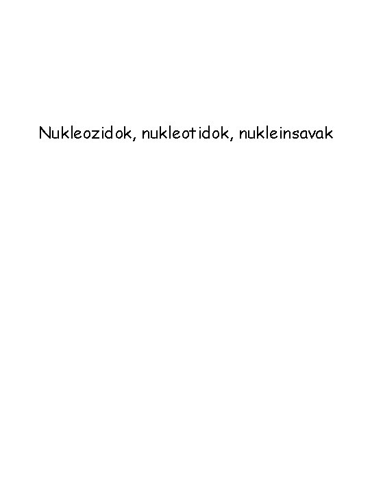 Nukleozidok, nukleotidok, nukleinsavak 