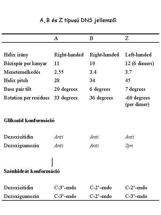 A, B és Z típusú DNS jellemzői A B Z Hélix irány Right-handed Left-handed