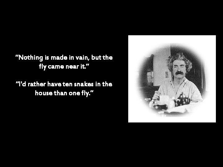 “Nothing is made in vain, but the fly came near it. ” “I'd rather