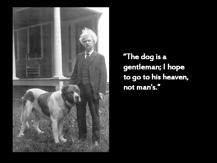 “The dog is a gentleman; I hope to go to his heaven, not man's.