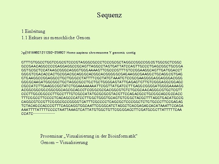 Sequenz 1 Einleitung 1. 1 Exkurs ins menschliche Genom >gi|16164037: 211292 -256037 Homo sapiens