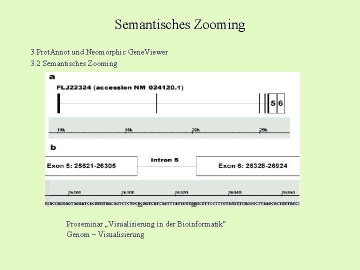 Semantisches Zooming 3 Prot. Annot und Neomorphic Gene. Viewer 3. 2 Semantisches Zooming Proseminar