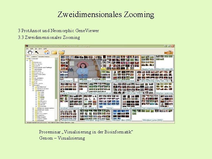 Zweidimensionales Zooming 3 Prot. Annot und Neomorphic Gene. Viewer 3. 3 Zweidimensionales Zooming Proseminar