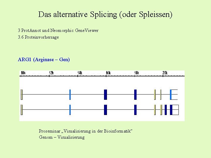 Das alternative Splicing (oder Spleissen) 3 Prot. Annot und Neomorphic Gene. Viewer 3. 6