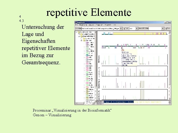 4 4. 3 repetitive Elemente Untersuchung der Lage und Eigenschaften repetitiver Elemente im Bezug