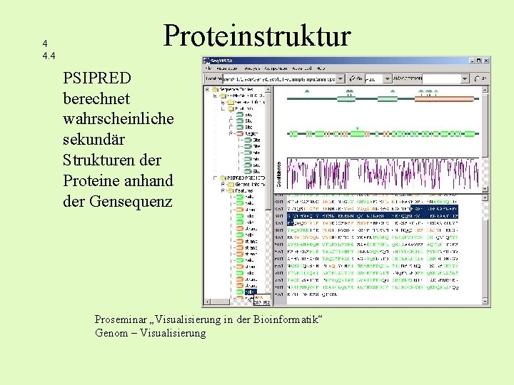 4 4. 4 Proteinstruktur PSIPRED berechnet wahrscheinliche sekundär Strukturen der Proteine anhand der Gensequenz