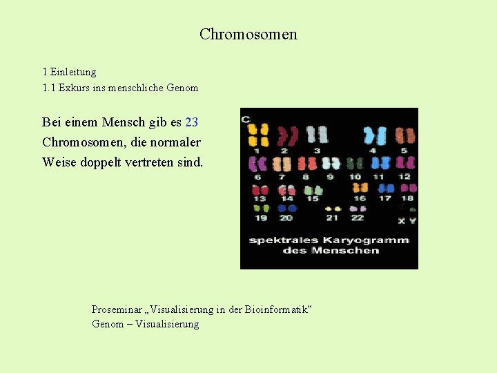 Chromosomen 1 Einleitung 1. 1 Exkurs ins menschliche Genom Bei einem Mensch gib es