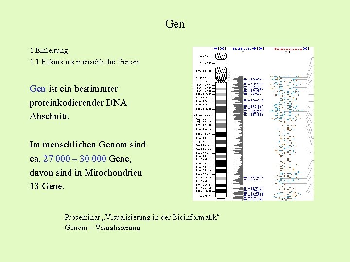 Gen 1 Einleitung 1. 1 Exkurs ins menschliche Genom Gen ist ein bestimmter proteinkodierender