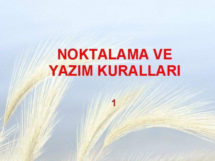 NOKTALAMA VE YAZIM KURALLARI 1 