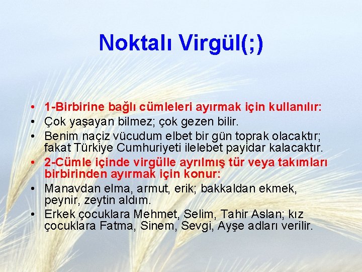 Noktalı Virgül(; ) • 1 -Birbirine bağlı cümleleri ayırmak için kullanılır: • Çok yaşayan