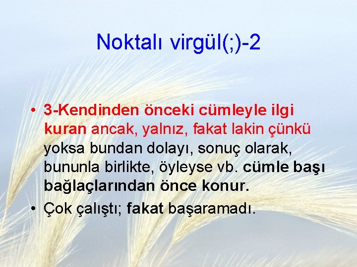 Noktalı virgül(; )-2 • 3 -Kendinden önceki cümleyle ilgi kuran ancak, yalnız, fakat lakin