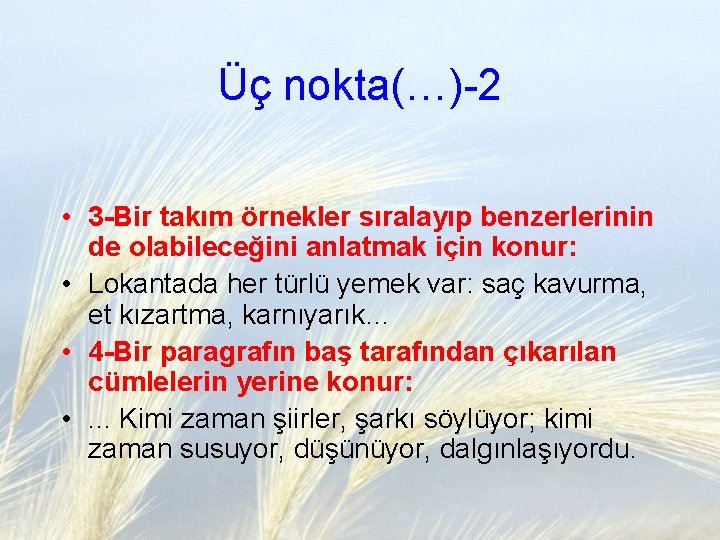 Üç nokta(…)-2 • 3 -Bir takım örnekler sıralayıp benzerlerinin de olabileceğini anlatmak için konur:
