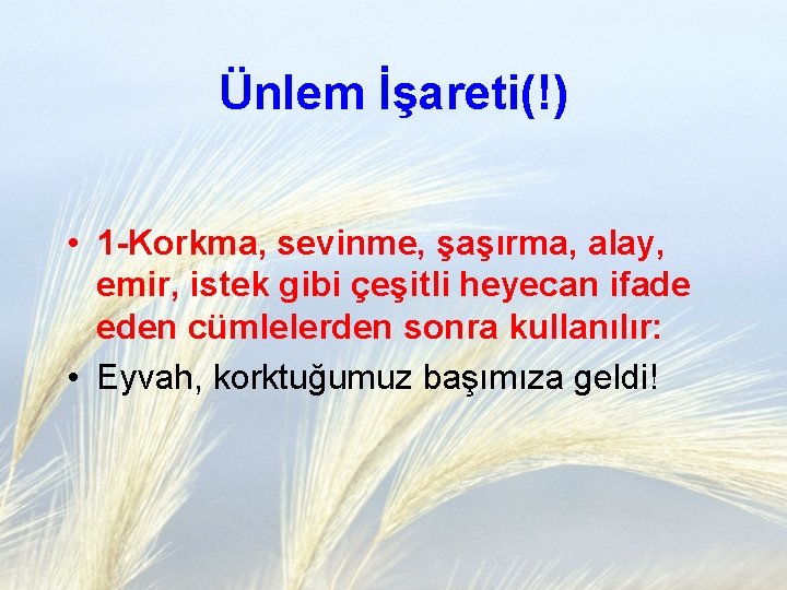 Ünlem İşareti(!) • 1 -Korkma, sevinme, şaşırma, alay, emir, istek gibi çeşitli heyecan ifade