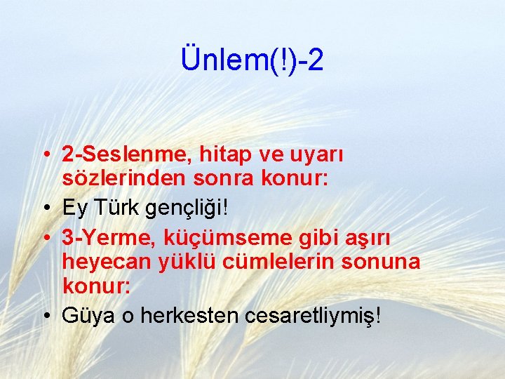 Ünlem(!)-2 • 2 -Seslenme, hitap ve uyarı sözlerinden sonra konur: • Ey Türk gençliği!