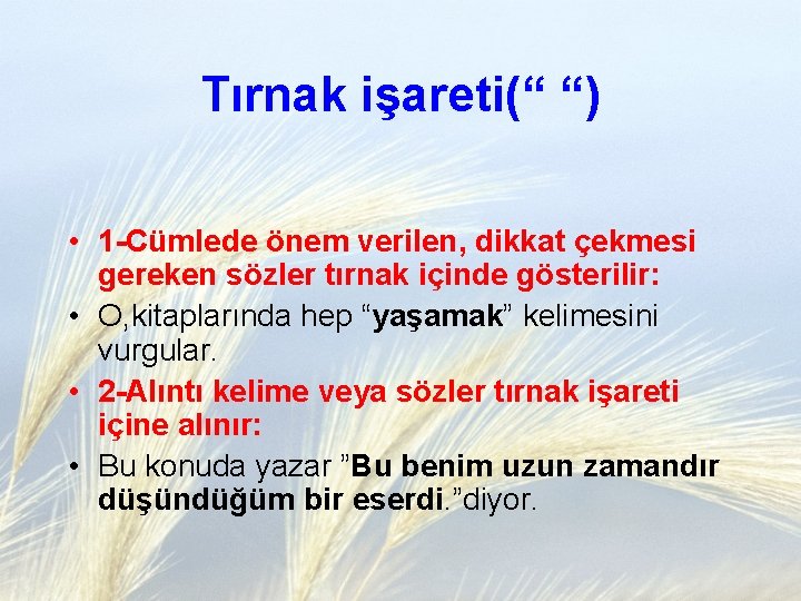 Tırnak işareti(“ “) • 1 -Cümlede önem verilen, dikkat çekmesi gereken sözler tırnak içinde