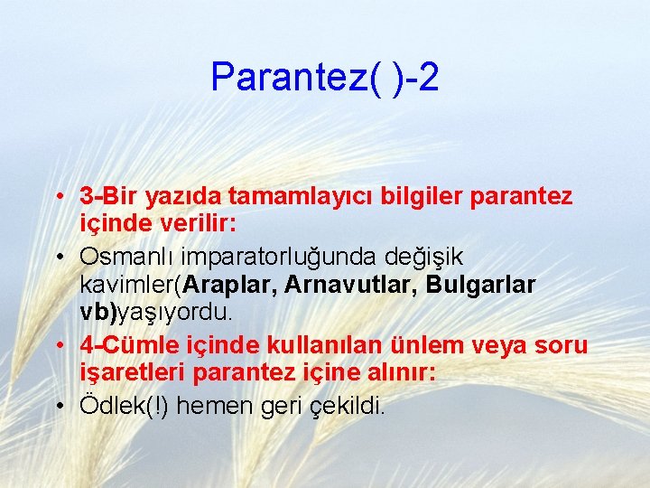 Parantez( )-2 • 3 -Bir yazıda tamamlayıcı bilgiler parantez içinde verilir: • Osmanlı imparatorluğunda