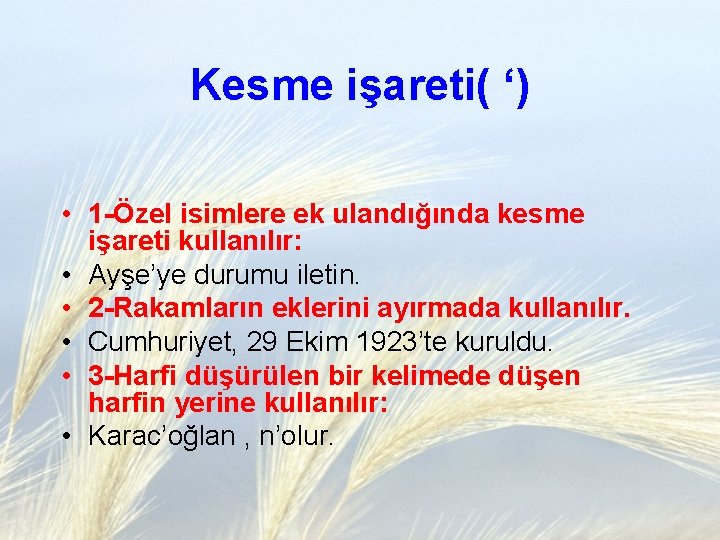 Kesme işareti( ‘) • 1 -Özel isimlere ek ulandığında kesme işareti kullanılır: • Ayşe’ye