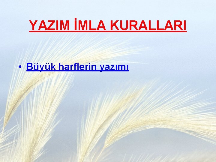 YAZIM İMLA KURALLARI • Büyük harflerin yazımı 