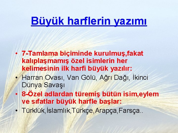 Büyük harflerin yazımı • 7 -Tamlama biçiminde kurulmuş, fakat kalıplaşmamış özel isimlerin her kelimesinin