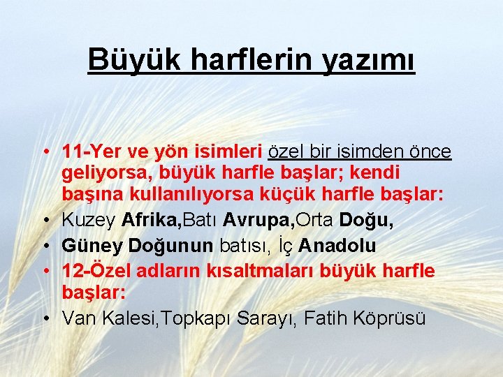 Büyük harflerin yazımı • 11 -Yer ve yön isimleri özel bir isimden önce geliyorsa,