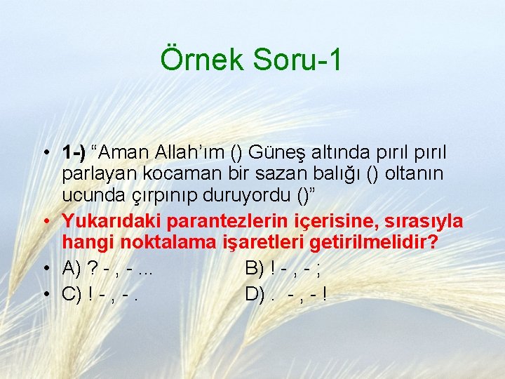 Örnek Soru-1 • 1 -) “Aman Allah’ım () Güneş altında pırıl parlayan kocaman bir