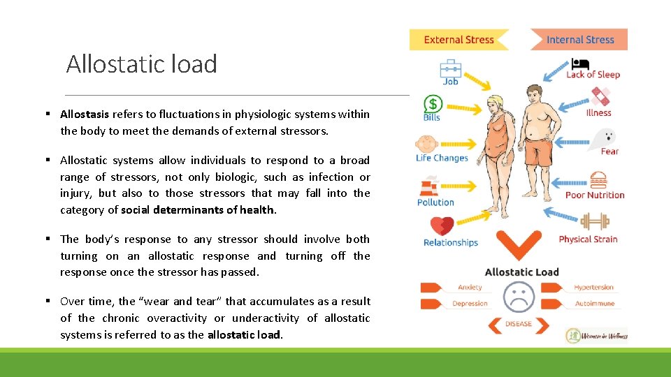 Allostatic load § Allostasis refers to fluctuations in physiologic systems within the body to