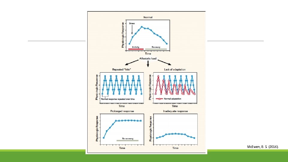 Mc. Ewen, B. S. (2016). 