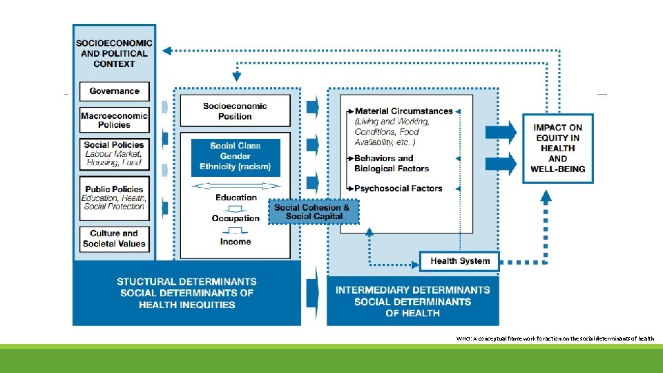 WHO: A conceptual framework for action on the social determinants of health 