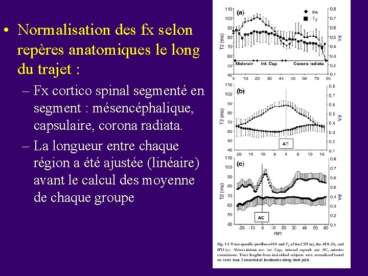  • Normalisation des fx selon repères anatomiques le long du trajet : –