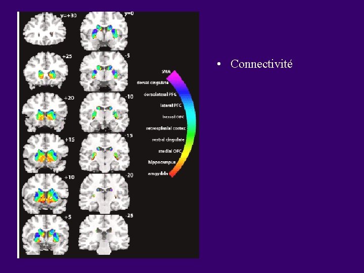 • Connectivité • Connectivité