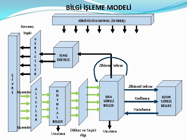 BİLGİ İŞLEME MODELİ YÜRÜTÜCÜ KONTROL (ÜSTBİLİŞ) Davranış Tepki V E R İ C İ