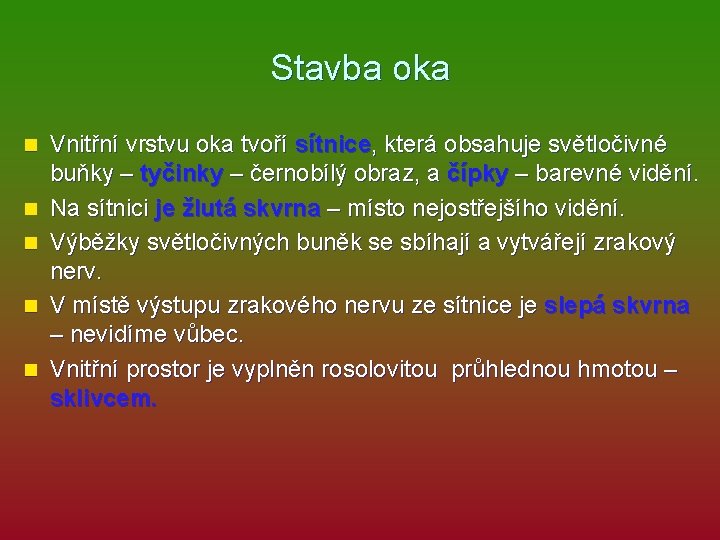 Stavba oka n n n Vnitřní vrstvu oka tvoří sítnice, která obsahuje světločivné buňky