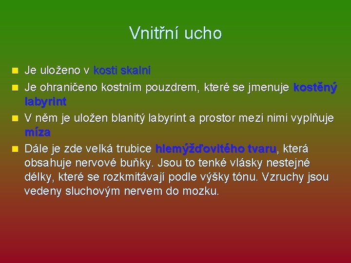 Vnitřní ucho Je uloženo v kosti skalní n Je ohraničeno kostním pouzdrem, které se