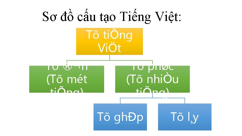 Sơ đồ cấu tạo Tiếng Việt: Tõ tiÕng ViÖt Tõ ®¬n (Tõ mét tiÕng)