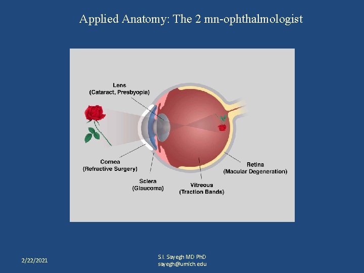 Applied Anatomy: The 2 mn-ophthalmologist 2/22/2021 S. I. Sayegh MD Ph. D sayegh@umich. edu