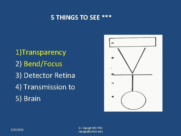 5 THINGS TO SEE *** 1)Transparency 2) Bend/Focus 3) Detector Retina 4) Transmission to