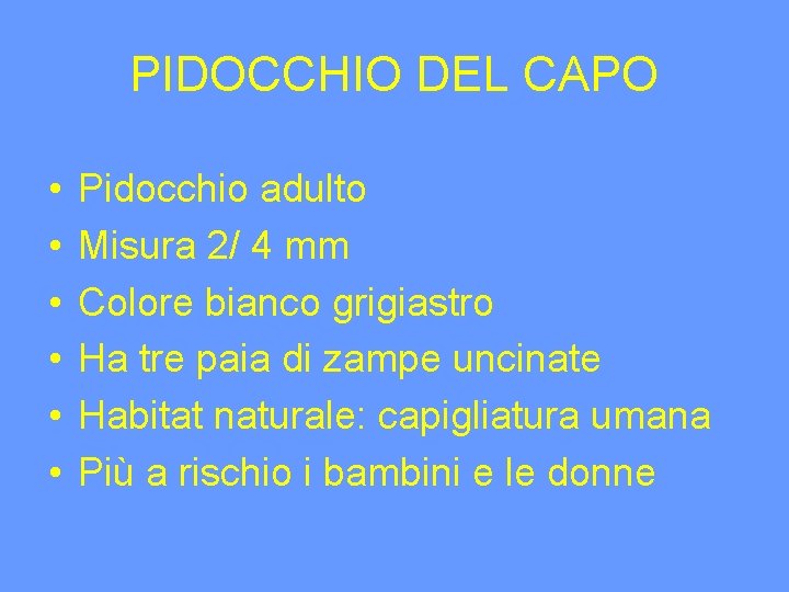 PIDOCCHIO DEL CAPO • • • Pidocchio adulto Misura 2/ 4 mm Colore bianco