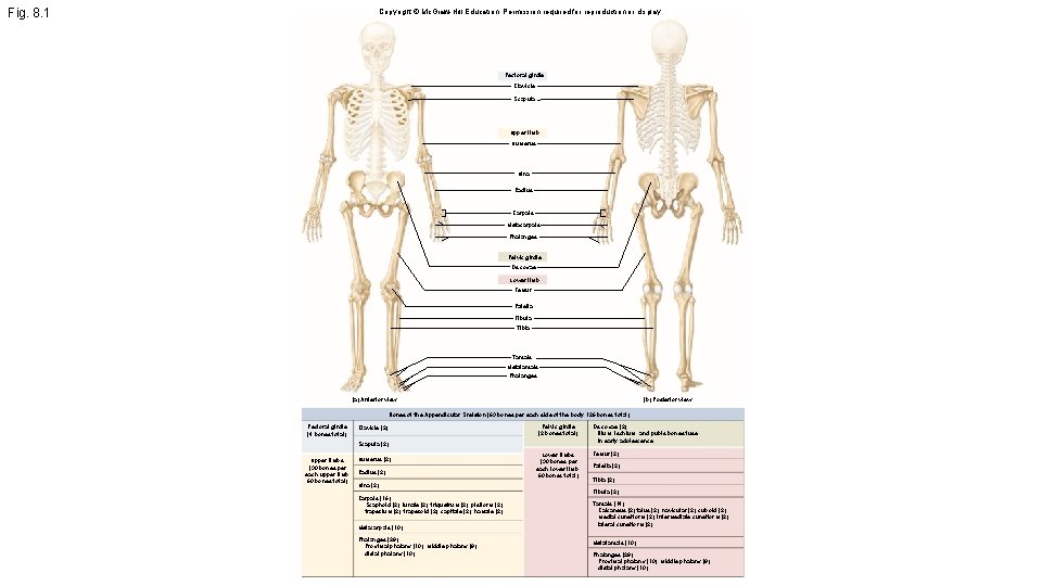 Fig. 8. 1 Copyright © Mc. Graw-Hill Education. Permission required for reproduction or display.