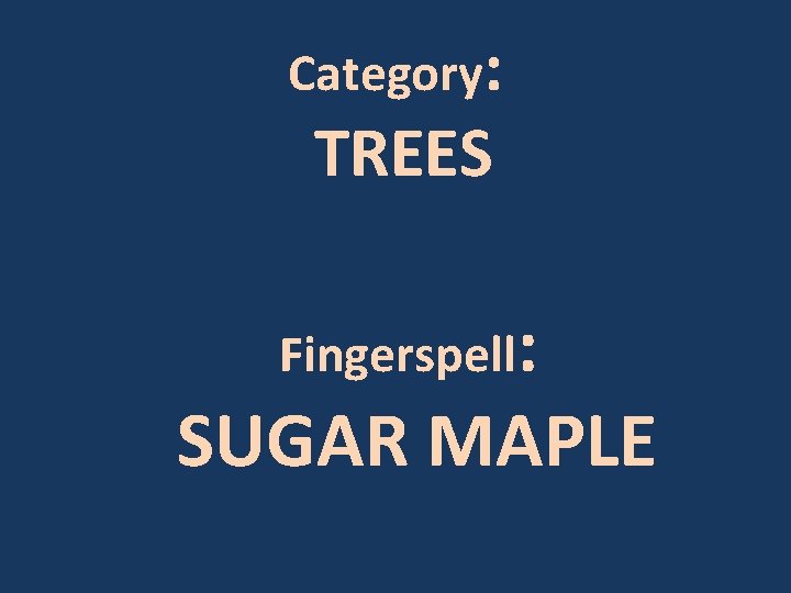Category: TREES Fingerspell: SUGAR MAPLE 