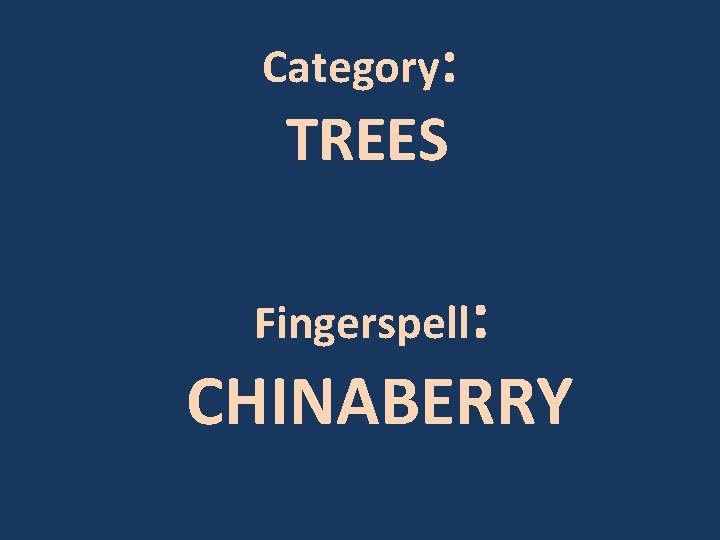 Category: TREES Fingerspell: CHINABERRY 