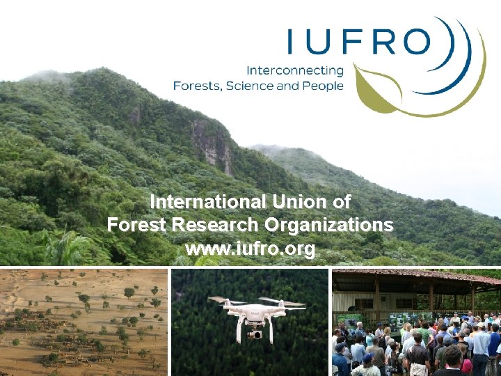 International Union of Forest Research Organizations www. iufro. org International Union of Forest Research Organizations www. iufro. org