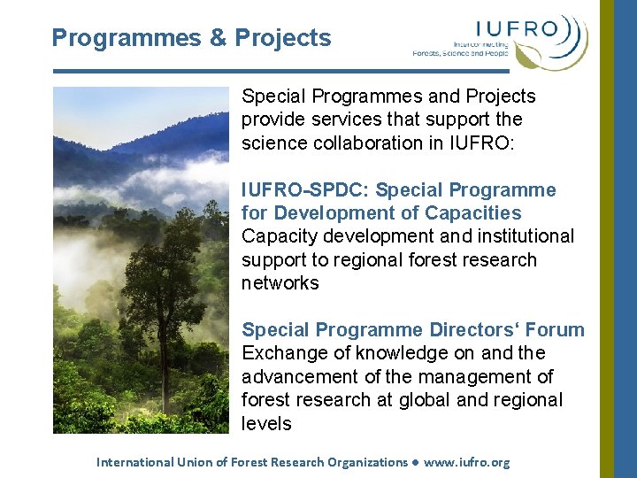 Programmes & Projects Special Programmes and Projects provide services that support the science collaboration Programmes & Projects Special Programmes and Projects provide services that support the science collaboration