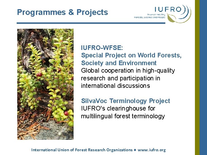 Programmes & Projects IUFRO-WFSE: Special Project on World Forests, Society and Environment Global cooperation Programmes & Projects IUFRO-WFSE: Special Project on World Forests, Society and Environment Global cooperation